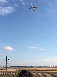成田空港から飛び立つ飛行機